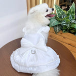 Solid Color Cat Dog Dresses with D-ring for Small Dogs Chihuahua Pomeranian Puppy Summer Pet Clothes  vestidos para perritas