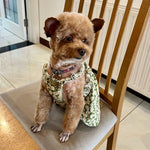 Cozy Cotton Summer Suspender Skirt Pet Dress For Cats Small Dogs Sphynx Kitten Breathable Cool Pet Outfit Ropa Para Gatos