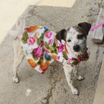 Summer Dog Clothes 3D Printed Pet Dress with Traction Ring for Small Dogs Chihuahua Yorkshire One-piece Dress Puppy Clothings