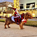 Winter Happy New Year Pet Costume Christmas Cat Dog Clothes for French Bulldog Corgi York Small Dogs And Cats Mascotas Supplies