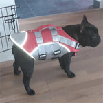 Dog Life Jacket with Handle and Pull Ring Summer Pet Swimsuit for Small Medium Dogs French Bulldog Labrador Pet Outdoor Supplies