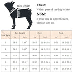 Dog Life Jacket with Handle and Pull Ring Summer Pet Swimsuit for Small Medium Dogs French Bulldog Labrador Pet Outdoor Supplies