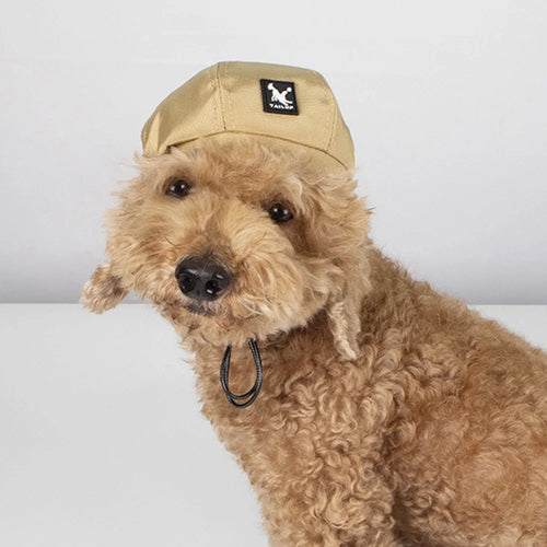 Adjustable Dog Beret Hat Cute Puppy Cap for Small Medium Dogs Cats Fashion Party Cosplay Accessories Pet Outdoor Supplies