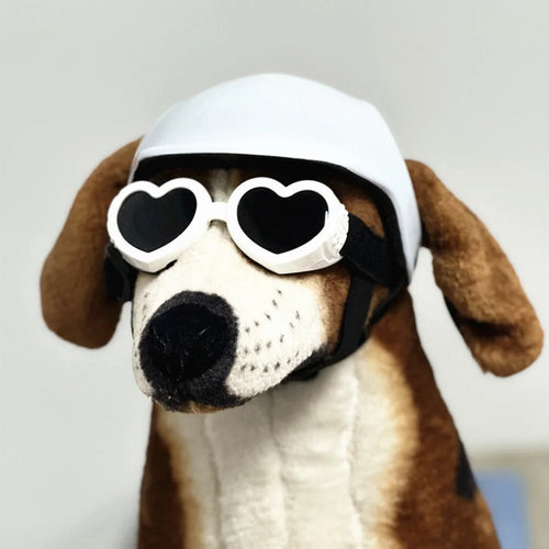 Pet Dog Riding Helmet with Ear Holes Puppy Outdoor Supplies Accessories Adjustable Motorcycle Helmets Protective Goggles Set