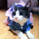Spring Summer Pet Clothes Sweet Denim Cat Puppy Dresses for Cats Small Dogs Kitten Skirt Persian Sphynx Clothing Princess Dress