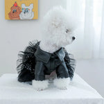Dashing Sequin Dresses for Small Dogs Cats Autumn Winter Pet Clothes Chihuahua Yorkshire Female Puppy Clothing Outfits