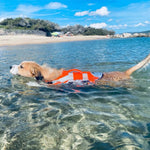 Dog Life Jacket with Handle and Pull Ring Summer Pet Swimsuit for Small Medium Dogs French Bulldog Labrador Pet Outdoor Supplies