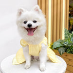 Solid Color Cat Dog Dresses with D-ring for Small Dogs Chihuahua Pomeranian Puppy Summer Pet Clothes  vestidos para perritas