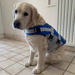 Dog Life Jacket with Handle and Pull Ring Summer Pet Swimsuit for Small Medium Dogs French Bulldog Labrador Pet Outdoor Supplies