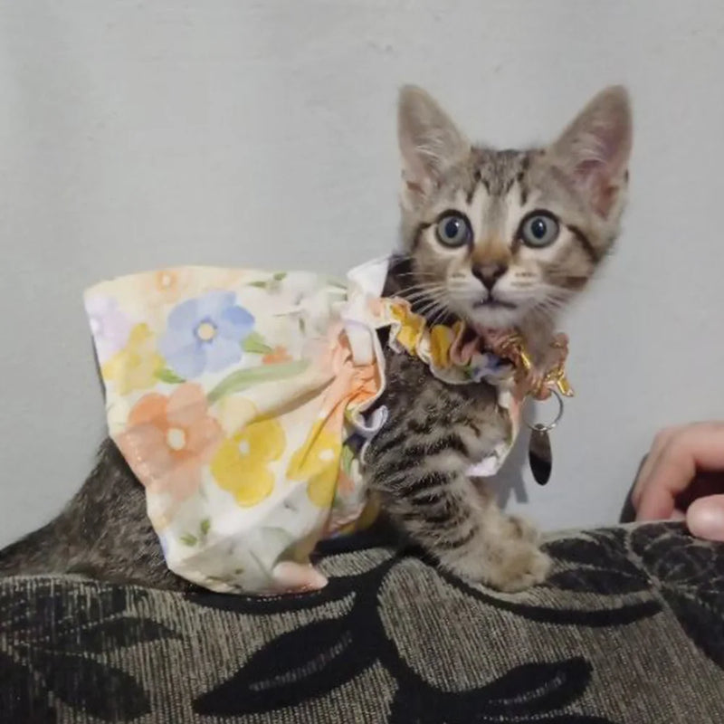 Cozy Cotton Summer Suspender Skirt Pet Dress For Cats Small Dogs Sphynx Kitten Breathable Cool Pet Outfit Ropa Para Gatos
