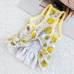 Summer Breathable Pet Clothing Banana Strawberry Dress for Cats Puppy Kitten Skirts Cat Sphynx Princess Clothes ropa para gatos